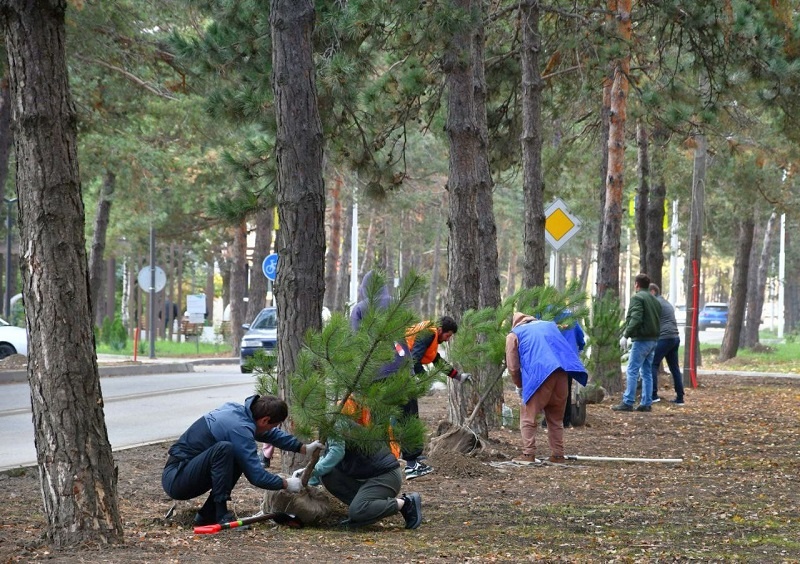    Фото: пресс-служба администрации Горячего Ключа
