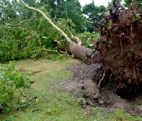 После стихии