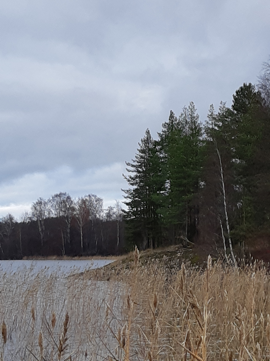 Карельские скалы