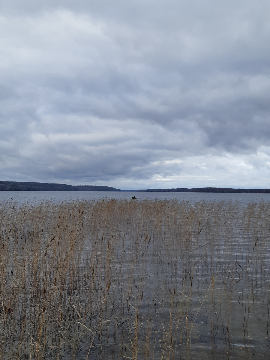 На Пертозере