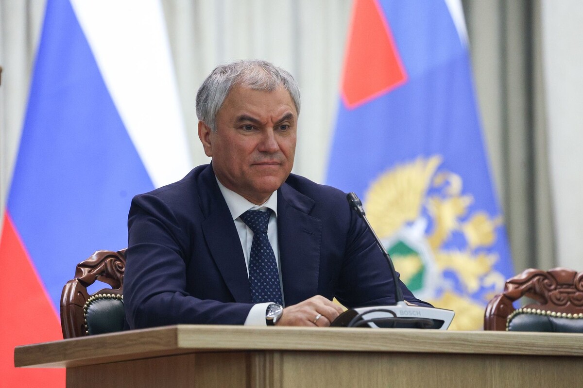     Вячеслав Володин / Владислав Тарасов/Пресс-служба Совета Федерации
