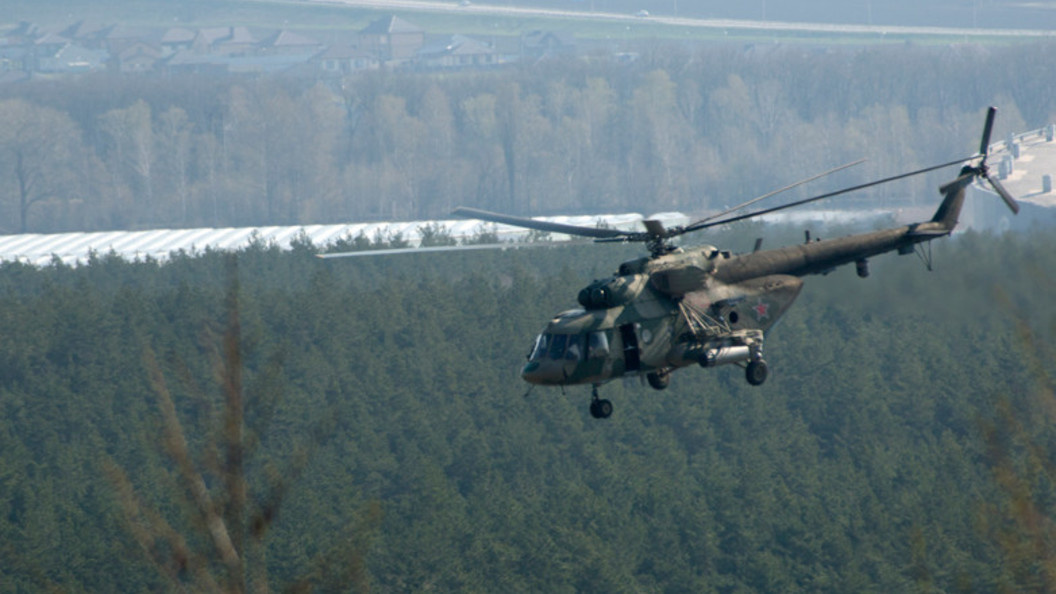    NIKOLAY GYNGAZOV/GLOBAL LOOK PRESS