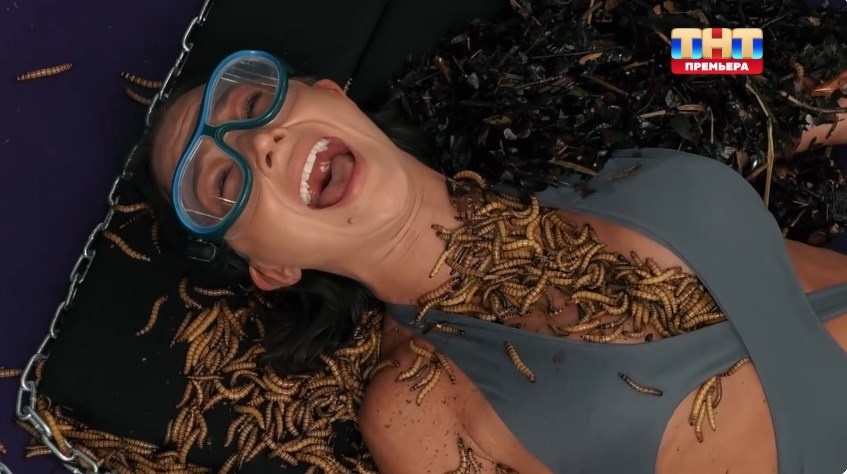 Кадр из шоу «Звезды в джунглях» 27.10.2024   