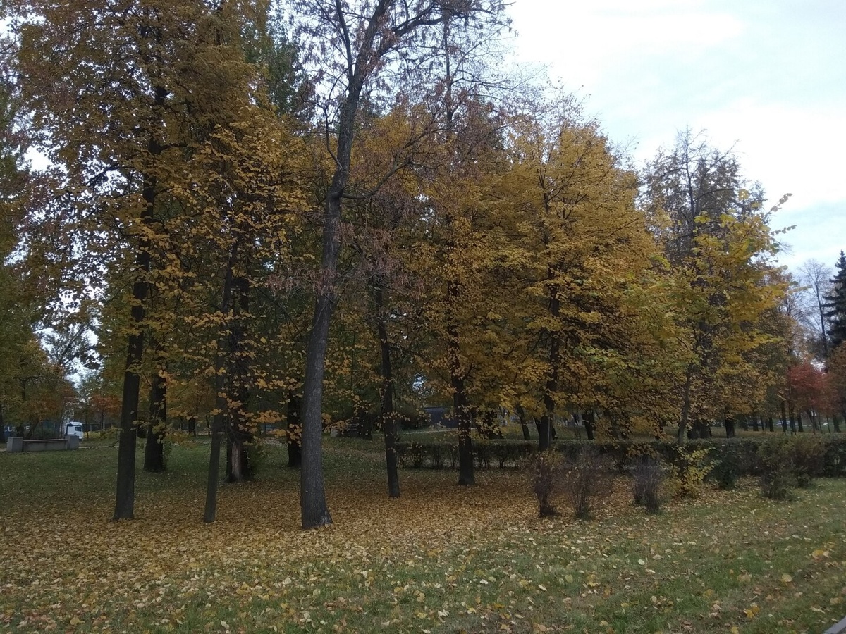 Фото из личного архива