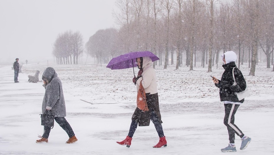    Автор фото: Ермохин Сергей