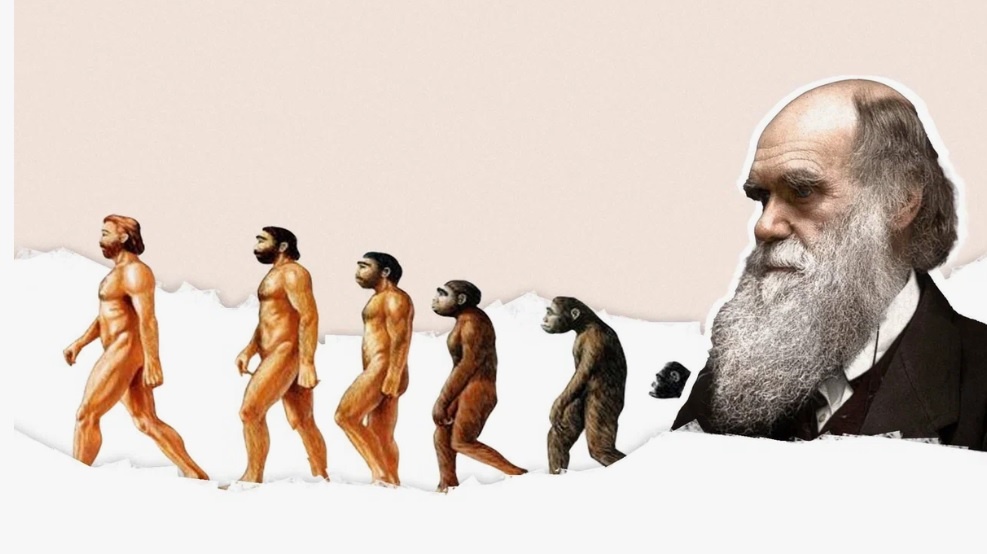 Ч.Дарвин и теория эволюции /фото и картинки из доступного фонда Яндекс.Картинки/