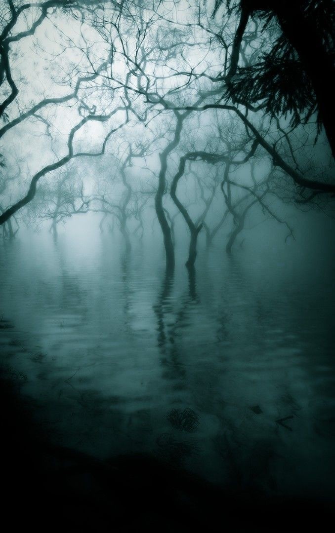 Картинка из Pinterest 