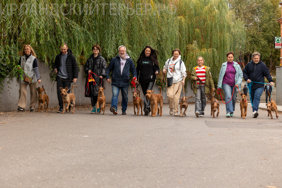 Вот такие мы красивые поражали прохожих