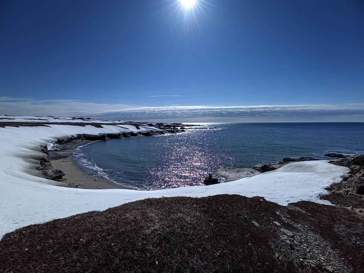 Побережье мыса Канин Нос. Июнь 2024, фото автора