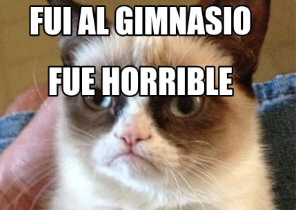 Перевод: Пошел в зал, это было ужасно: yo fui — от ir, fue — от ser