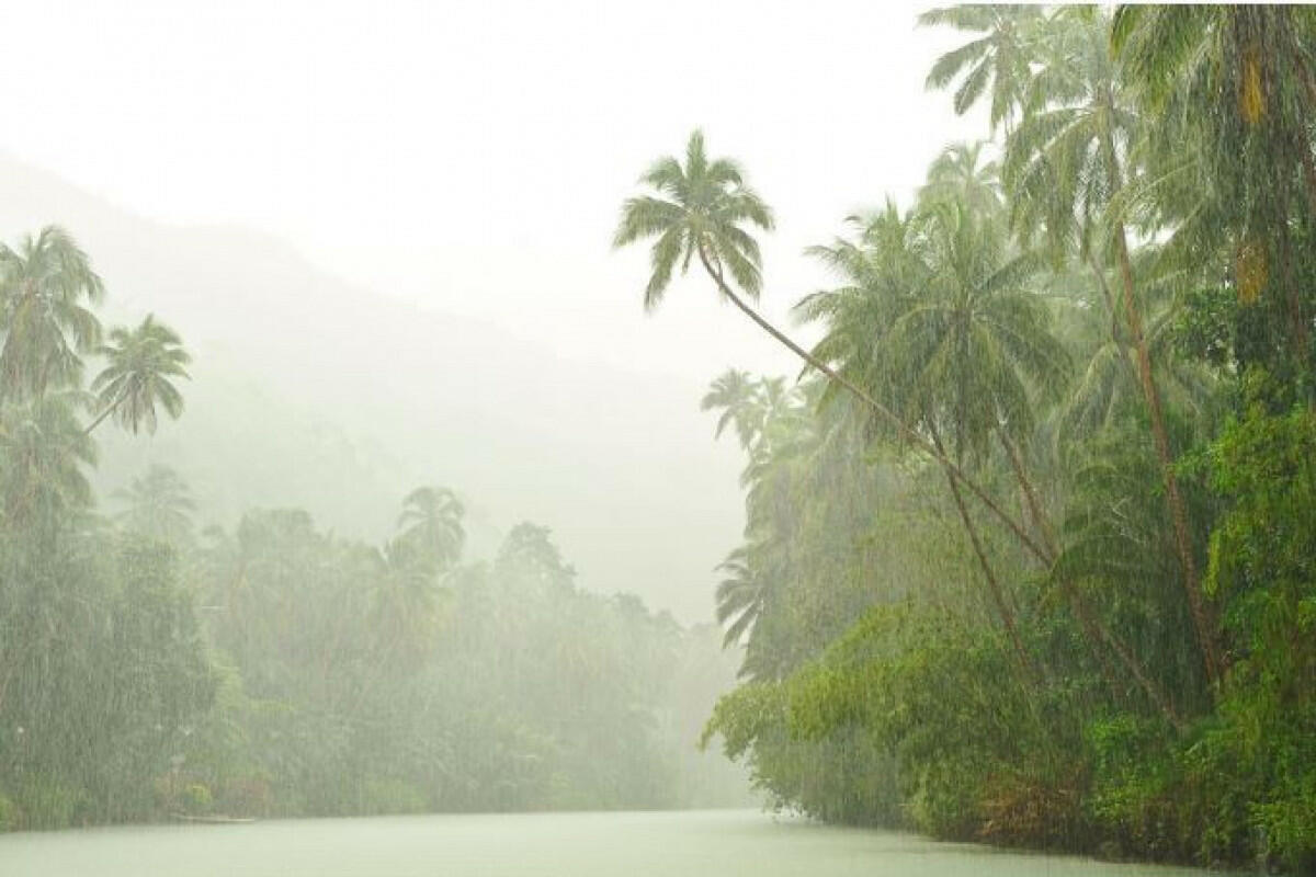 Фото из открытых источников в Интернет