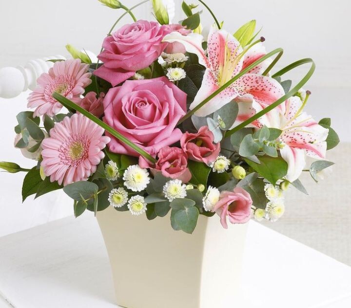 Фото из интернета 