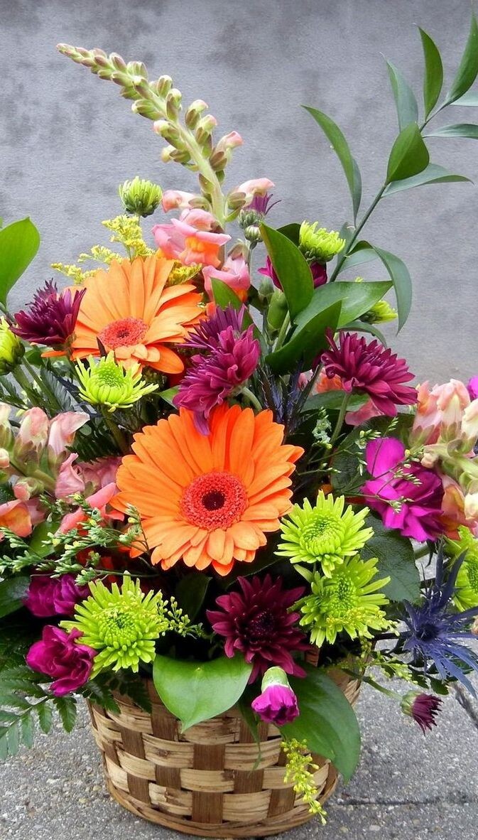 Фото из интернета 