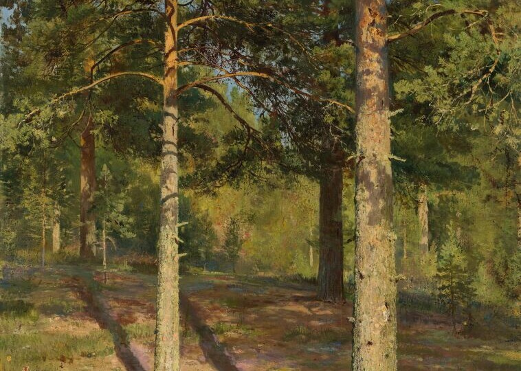 Лесной богатырь, или Великий русский художник Иван Шишкин