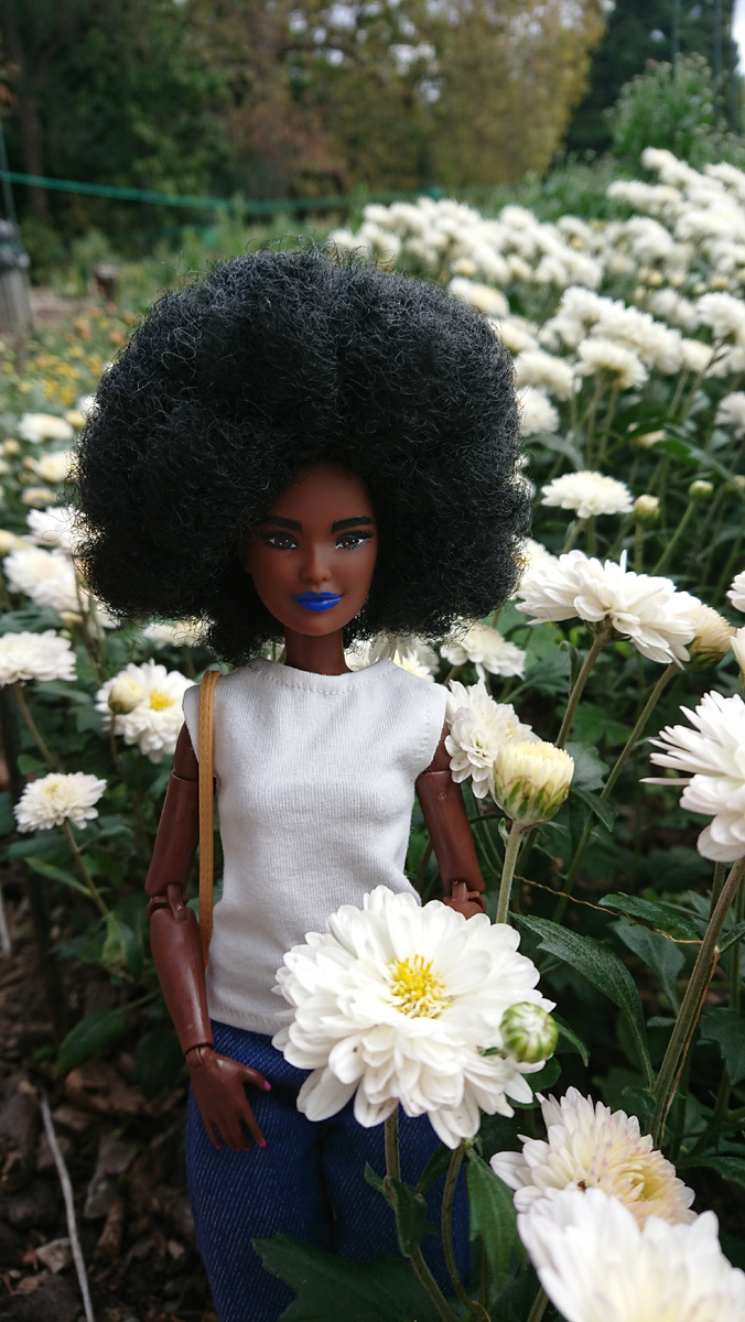 Barbie fashionistas 156