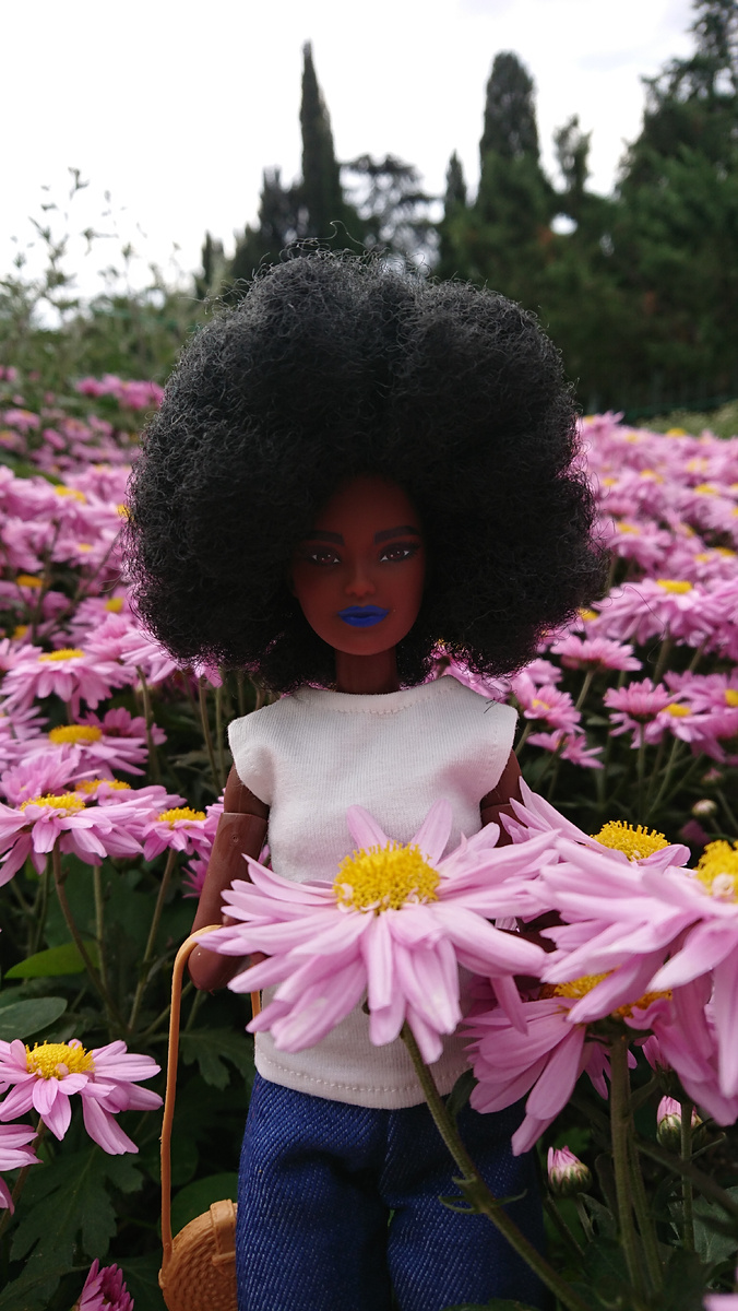 Barbie fashionistas 156