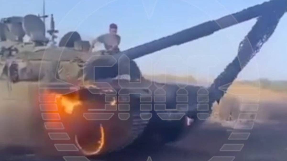    Фото: Telegram / Shot