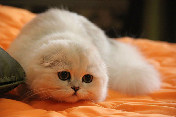 Бабушка нашей Каси