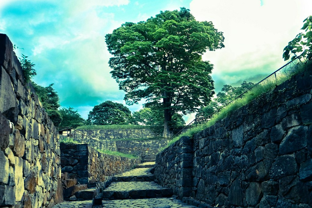 Руины замка Канаяма.