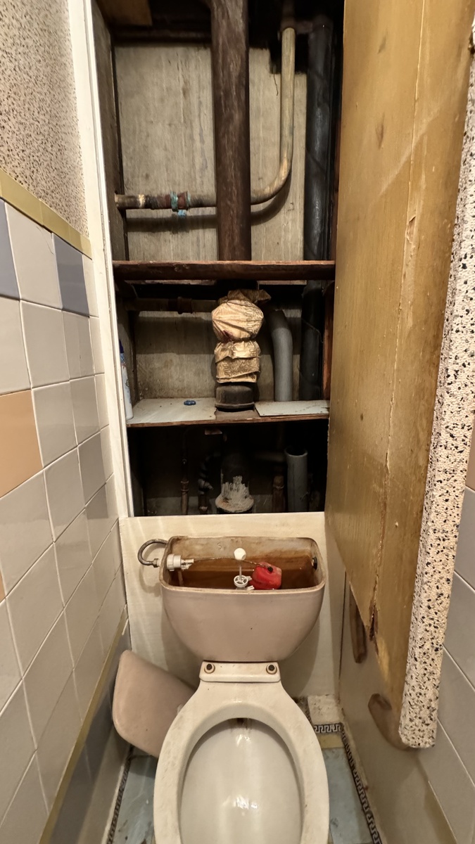 Когда трубы скрывала конструкция за унитазом, мы и подумать не могли, что нас ждет дальше