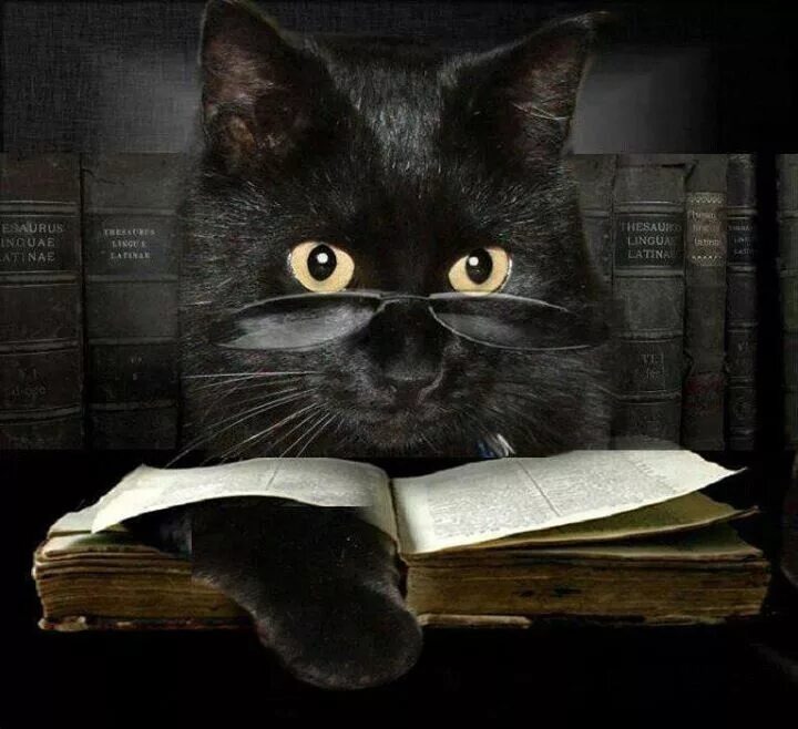 источник Яндекс-картинки