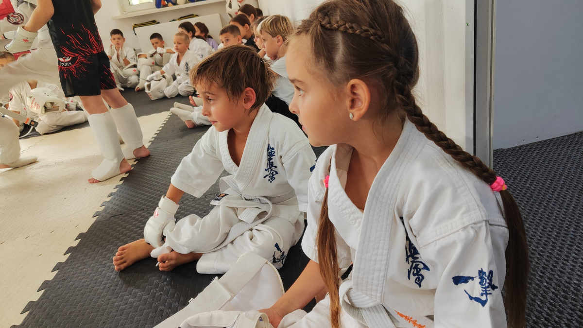 Каратисты наши