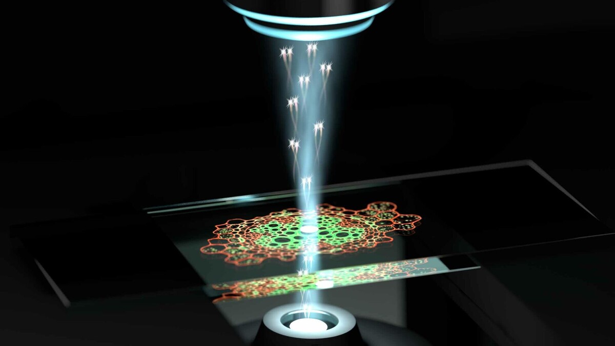 

Квантовые вычисления шагнули вперед! На прошедшей конференции ведущие ученые представили прорывные достижения в разработке квантовых алгоритмов, которые обещают решить задачи, недоступные классическим компьютерам. Исследователи обсуждали, как квантовые системы могут быть применены в различных отраслях — от финансов до медицины. Особенно примечательным стало освоение квантового машинного обучения, открывающего новые перспективы для обработки больших данных и предсказательной аналитики.

Однако, несмотря на впечатляющие достижения, существует ряд технических и этических вопросов. Например, как защитить квантовые системы от возможных угроз? Над этим вопросом работают международные эксперты.