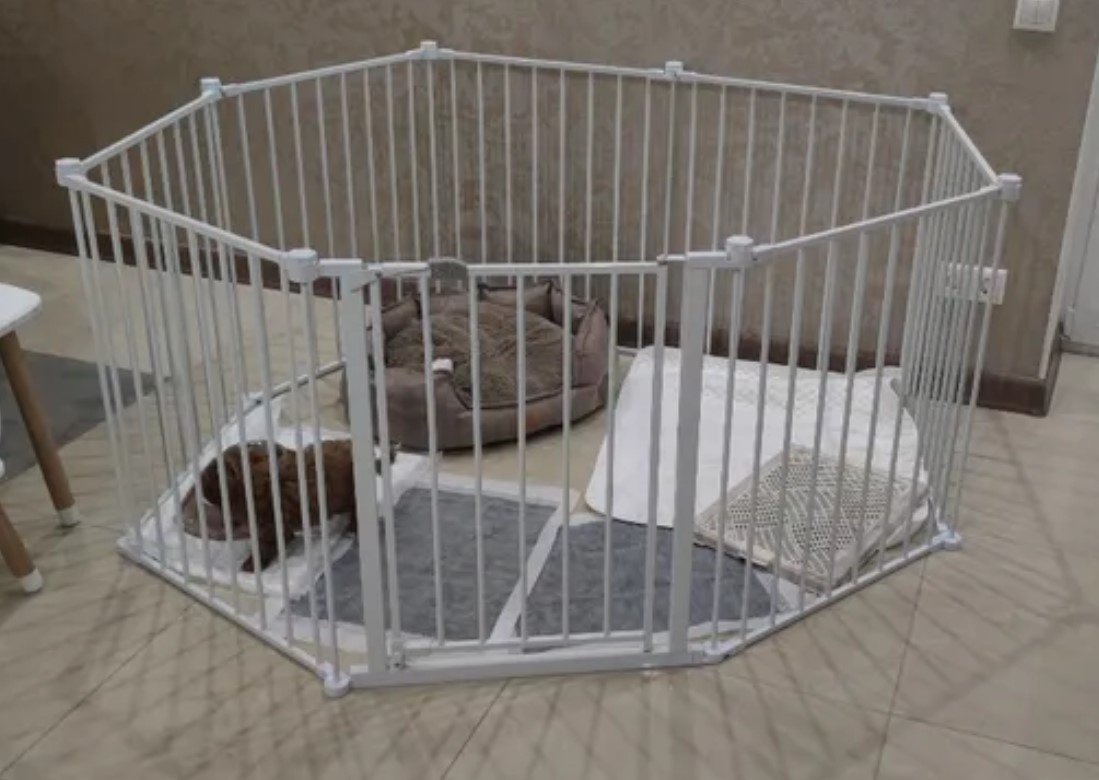 Фото-отзыв с ozon: приучаем нашего щенка к туалету. Ограничили пространство, и среди пеленок поставили мини-лоток Stefan с сеткой. Все получилось!