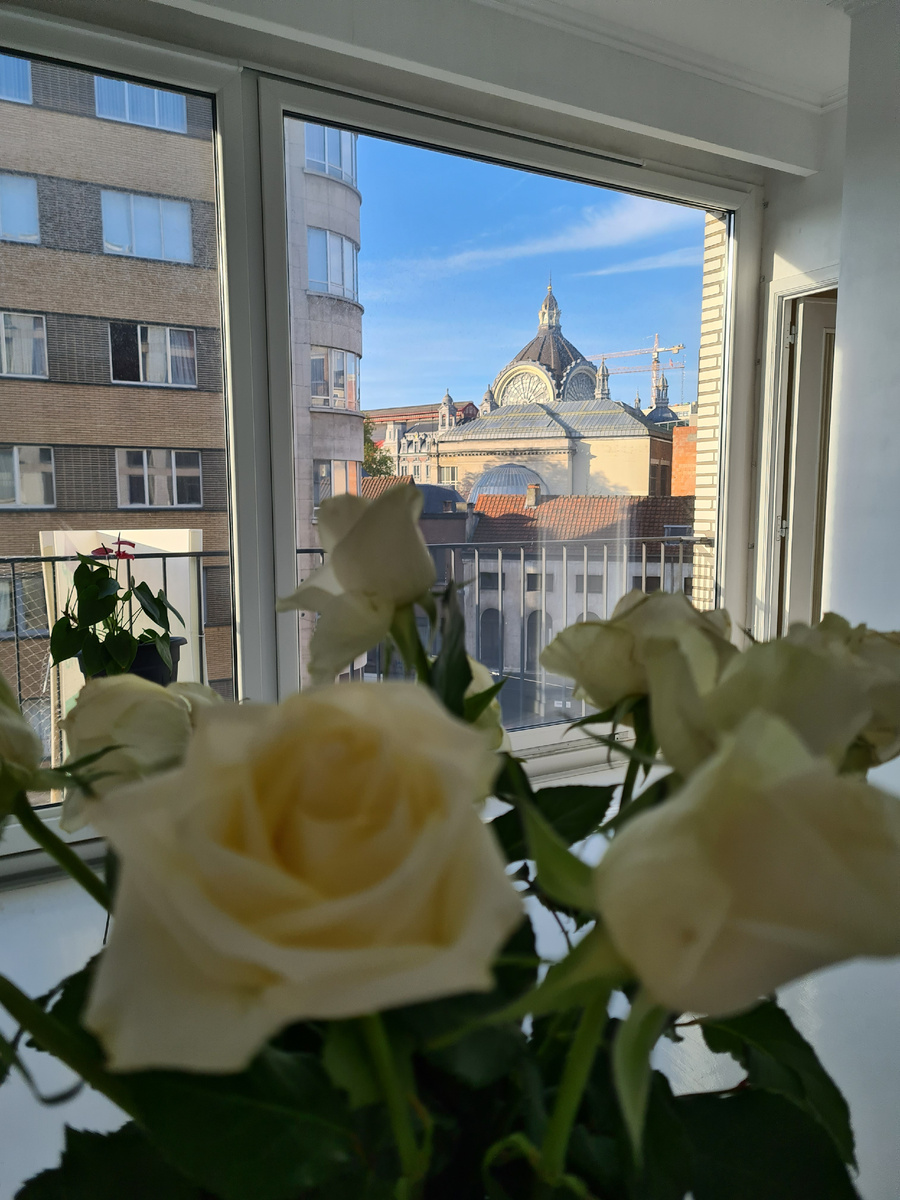 Вид из окна, фото из архива автора.