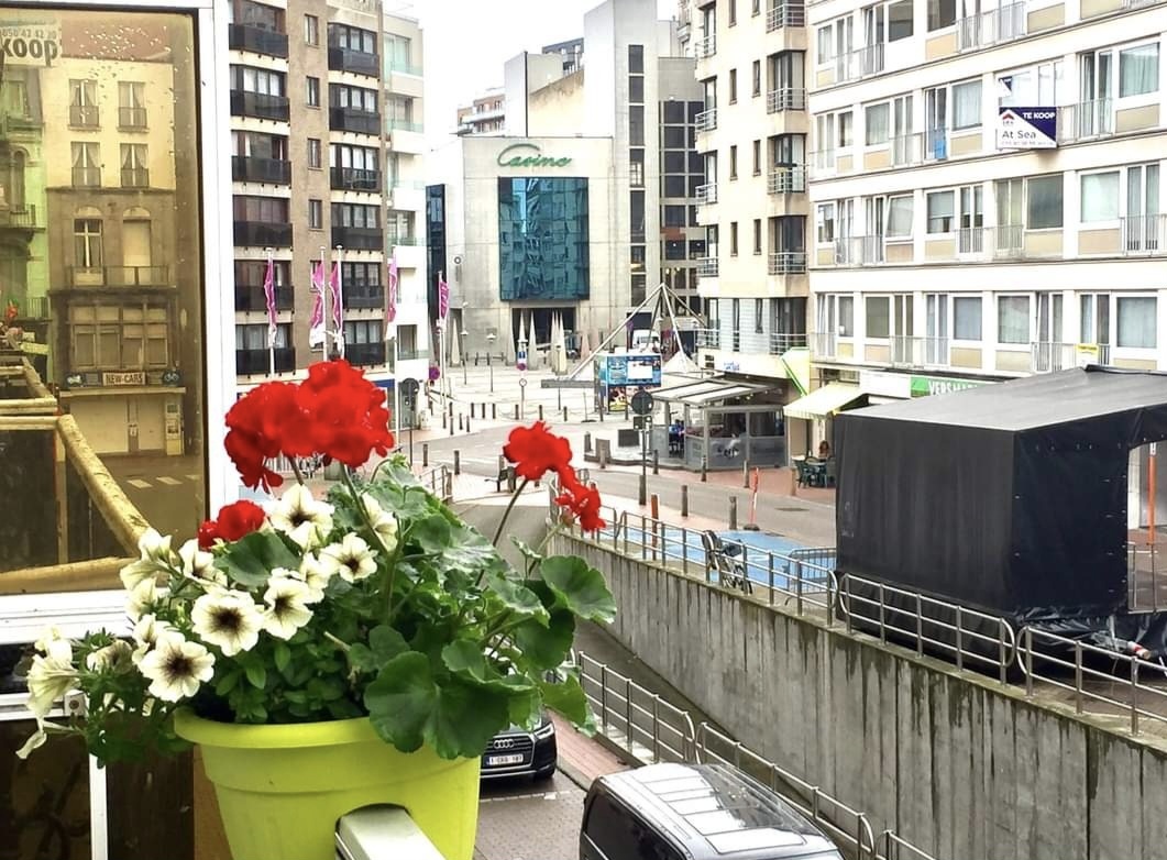 Бланкенберге, вид с балкона. Фото из архива автора.