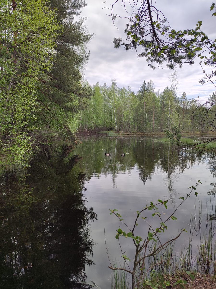 Природный заказник