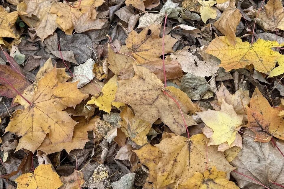 Фото: UfacityNews.ru