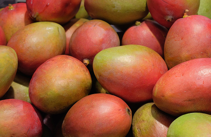    Ольга Дмитренко/фотобанк «Лори»