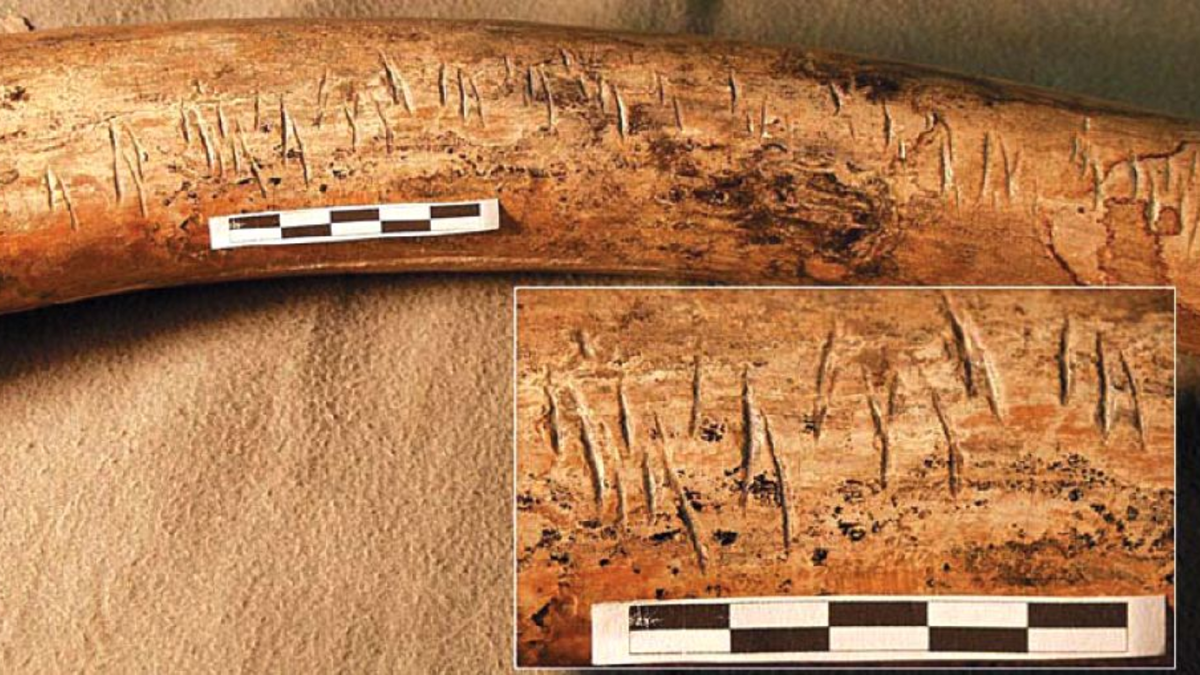 Находка археологического памятника Мамонтова курья. Источник изображения: dostoyanieplaneti.ru