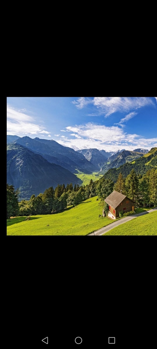 #ecolodge cerebrologia Cerebrologia.com 