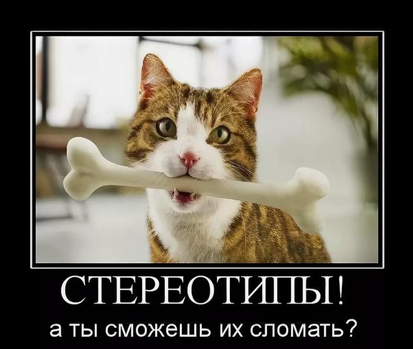 Трудно их ломать