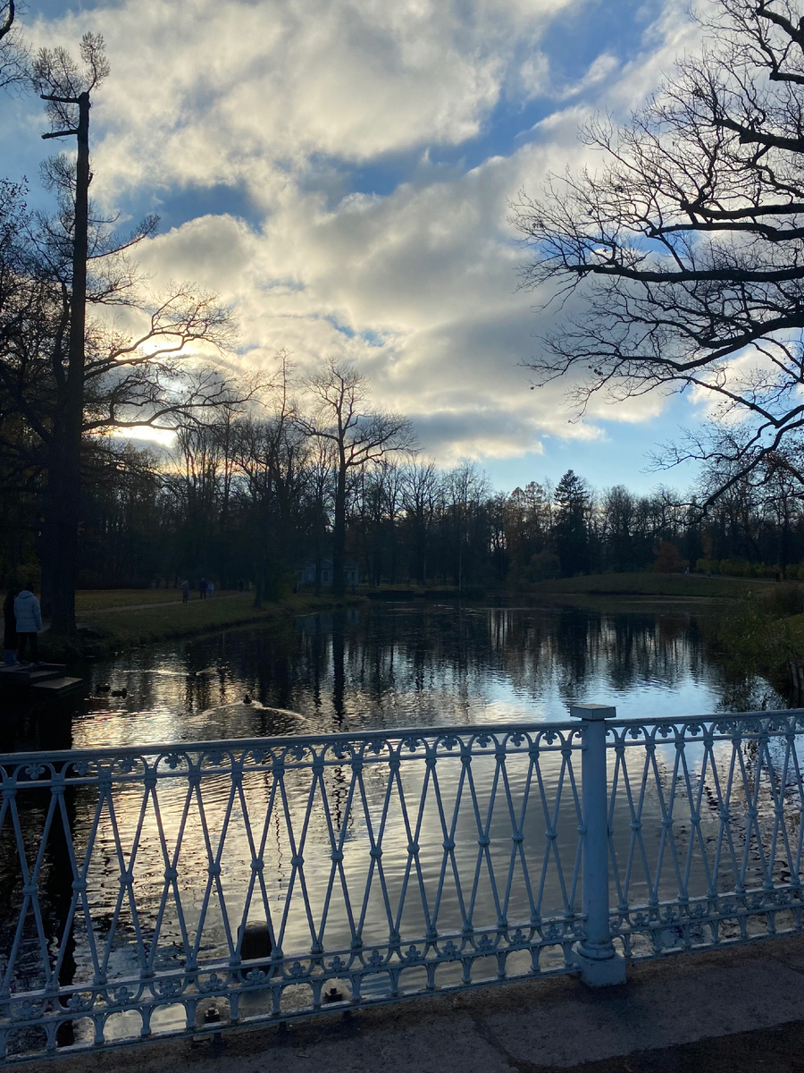 Сама себе завидую, что могу каждый день гулять в этом парке) 