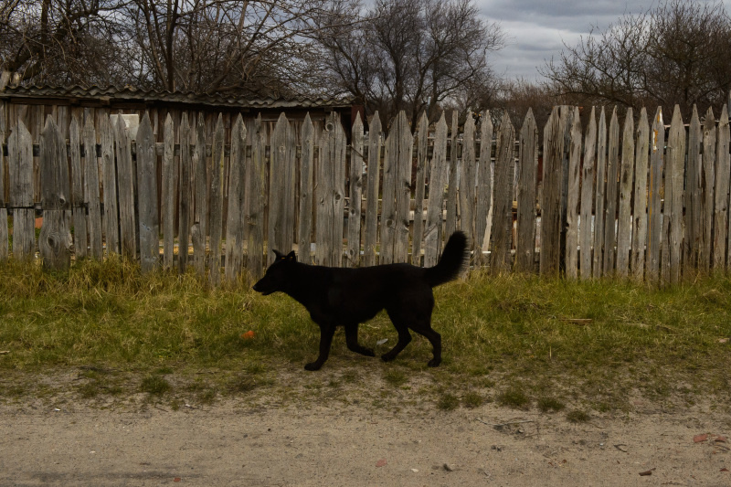    Фото: © Dmitry Chasovitin/Global Look Press