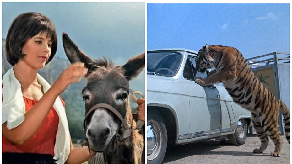     Источник: кадры из фильмов «Кавказская пленница», «Полосатый рейс»