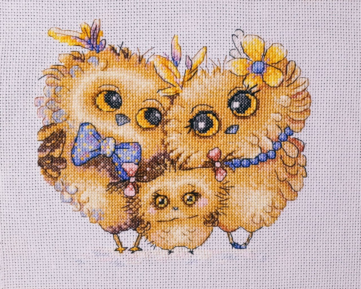 Совиная семья