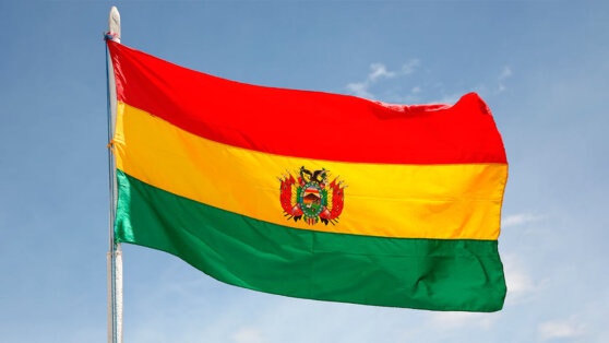    Правительство Боливии обвинило экс-президента Моралеса в попытке дестабилизировать обстановку в стране Егор Гордеев