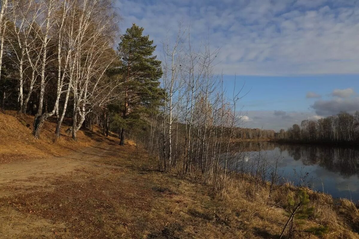     Источник: тг-канал Максим Афанасьев