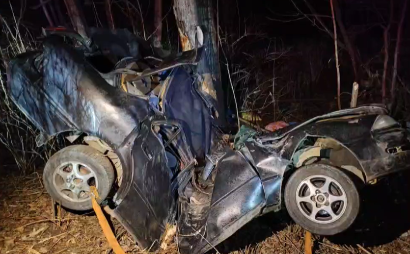    Источник фото: пресс-служба УМВД России по Приморскому краю