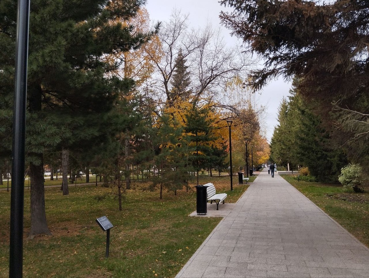 В парке установят лавочки.  Фото: Фото: ФедералПресс / Екатерина Ломакина