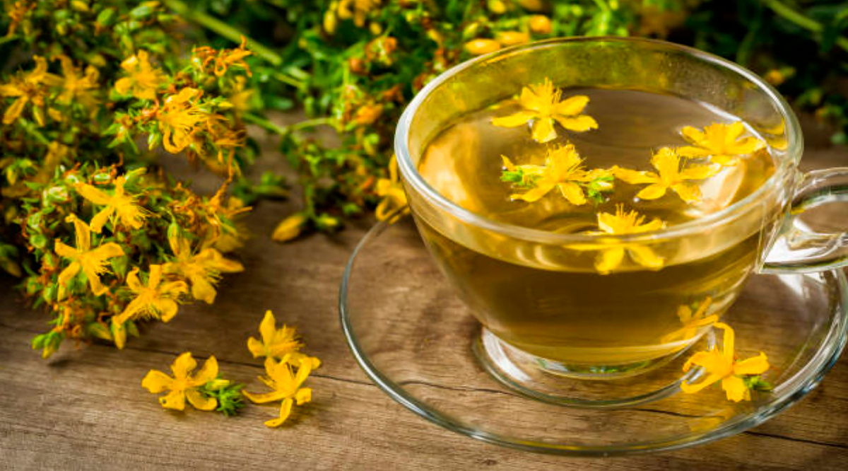 Зверобой (Hypericum perforatum)