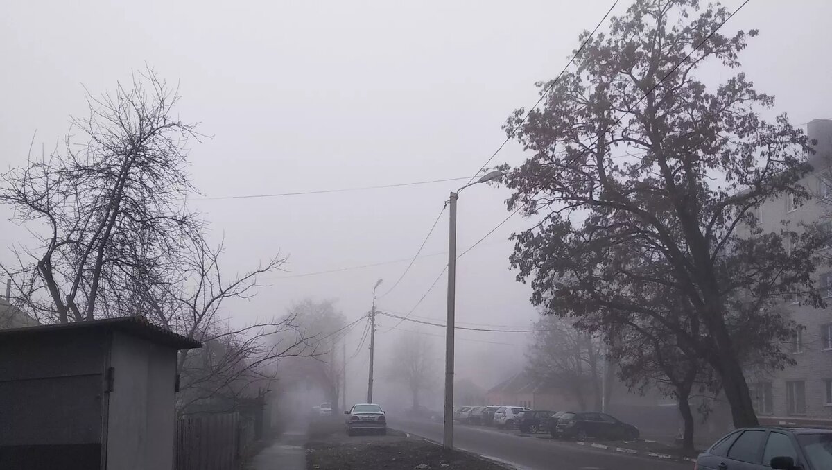     Источник: 1MI