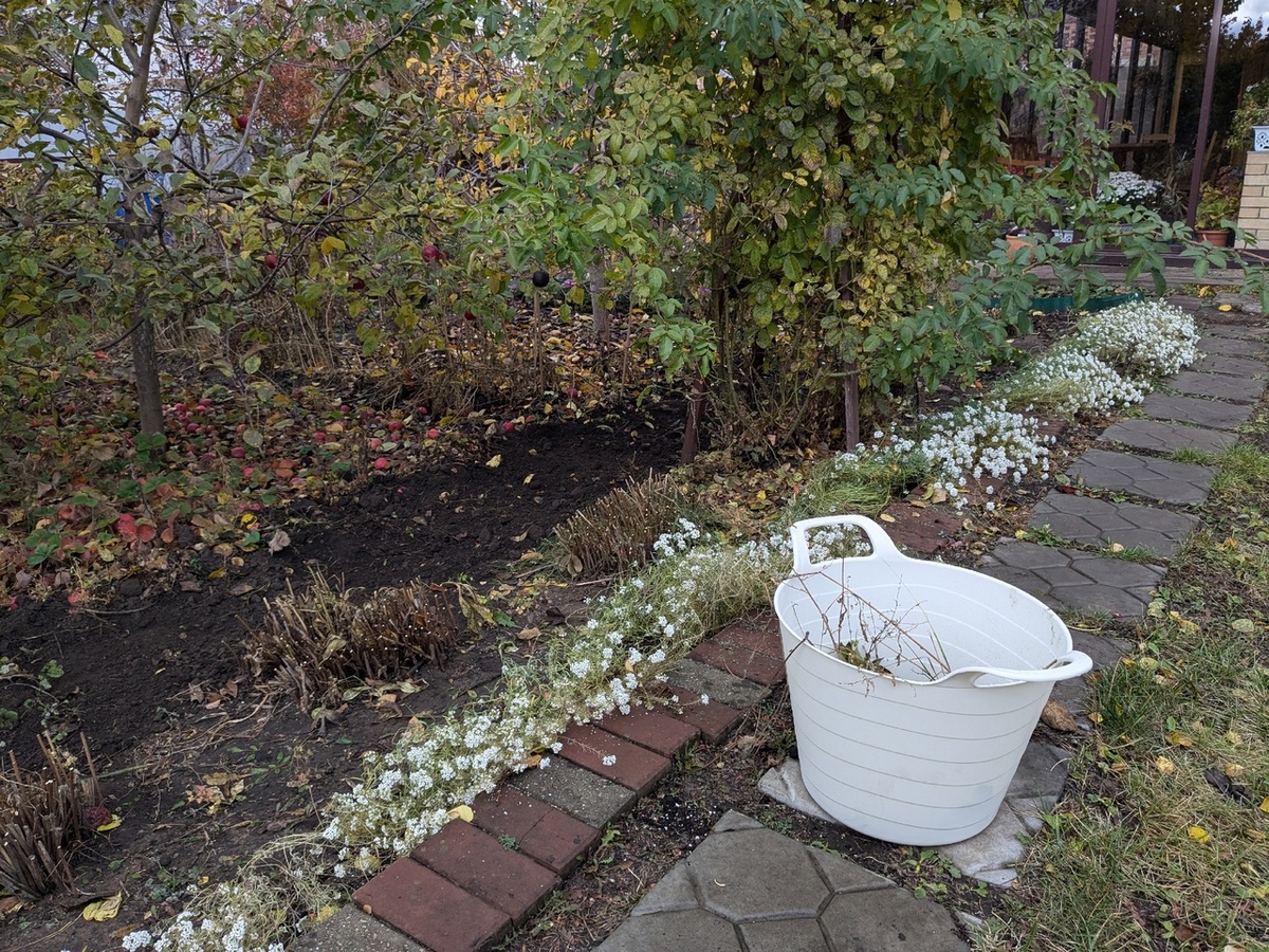 Новая пластиковая корзина лучше старых перемотанных скотчем разбитых строительных ведер