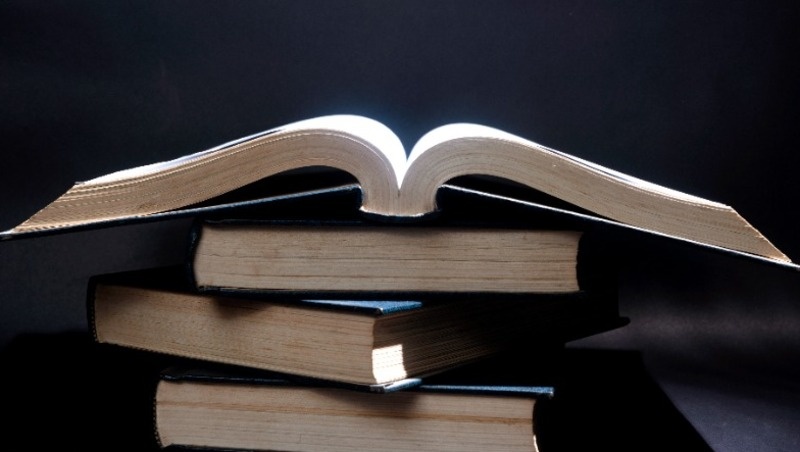 Фото: @h9images / freepik.com