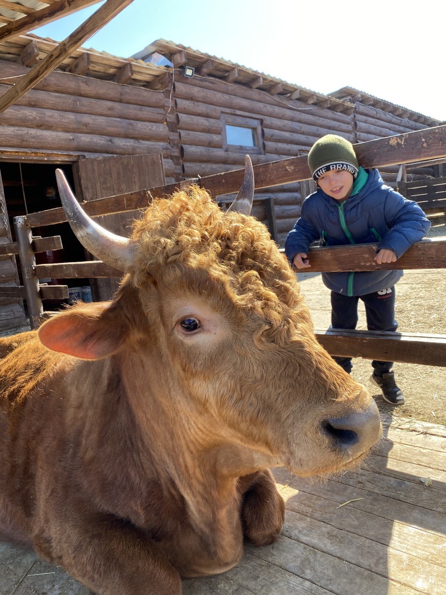 знакомство с животными
