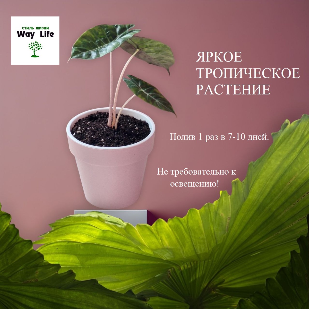 Фото и инфографика автора.